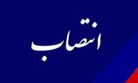انتصابات دفتر هماهنگی امور استانها